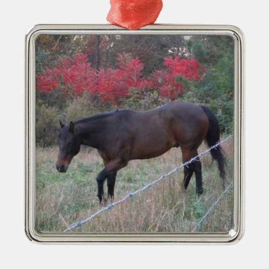 Bruin paard in rode herfstbomen metalen ornament (Voorkant)