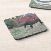 Bruin paard in rode herfstbomen onderzetter (Linkerzijde)