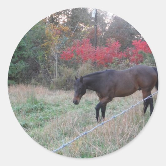 Bruin paard in rode herfstbomen ronde sticker (Voorkant)