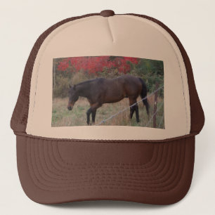 Bruin paard in rode herfstbomen trucker pet