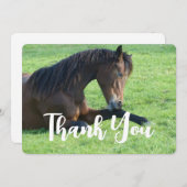  bruin paard lekt in gras bedankkaart (Voorkant / Achterkant)