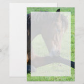  bruin paard lekt in gras briefpapier (Voorkant / Achterkant)