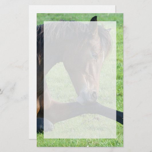  bruin paard lekt in gras briefpapier (Voorkant / Achterkant)