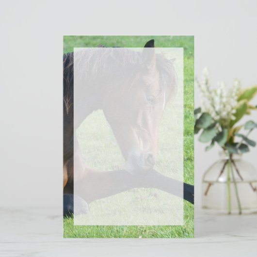  bruin paard lekt in gras briefpapier (Staand voorkant)