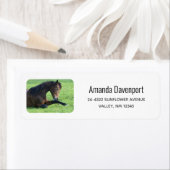  bruin paard lekt in gras etiket (Insitu)