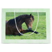  bruin paard lekt in gras groot cadeauzakje (Voorkant)