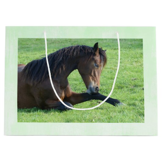  bruin paard lekt in gras groot cadeauzakje (Voorkant)