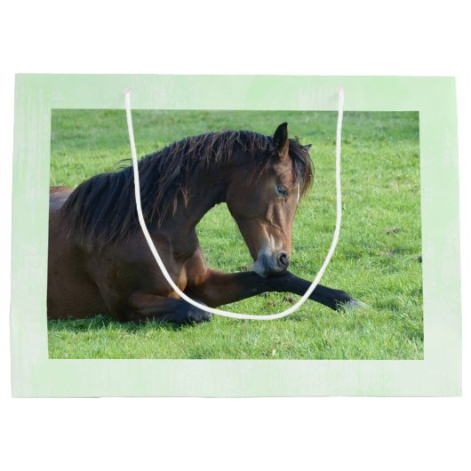  bruin paard lekt in gras groot cadeauzakje (Achterkant)