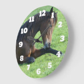  bruin paard lekt in gras grote klok (Hoek)