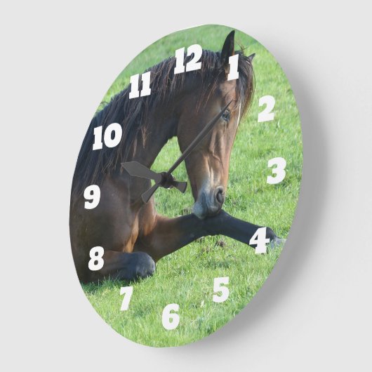  bruin paard lekt in gras grote klok (Hoek)