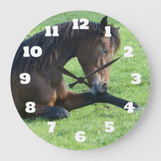  bruin paard lekt in gras grote klok (Voorkant)