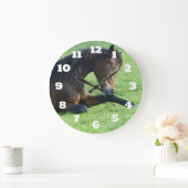  bruin paard lekt in gras grote klok (Huis)