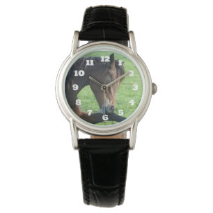  bruin paard lekt in gras horloge