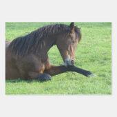 bruin paard lekt in gras inpakpapier vel (Voorkant)