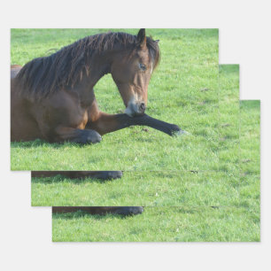 bruin paard lekt in gras inpakpapier vel
