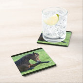  bruin paard lekt in gras kartonnen onderzetters (Insitu)