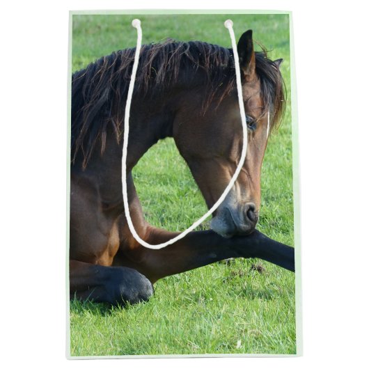  bruin paard lekt in gras medium cadeauzakje (Voorkant)