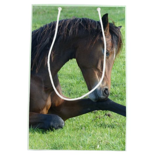  bruin paard lekt in gras medium cadeauzakje (Achterkant)