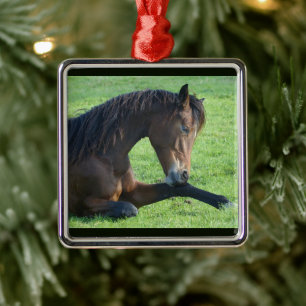  bruin paard lekt in gras metalen ornament