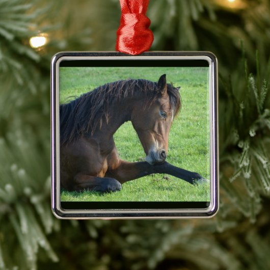  bruin paard lekt in gras metalen ornament (Boom)