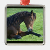  bruin paard lekt in gras metalen ornament (Voorkant)