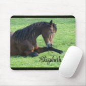 bruin paard lekt in gras muismat (Met muis)