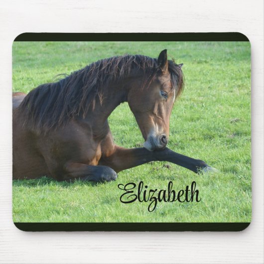 bruin paard lekt in gras muismat (Voorkant)