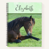  bruin paard lekt in gras notitieboek (Voorkant)