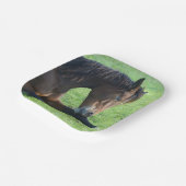  bruin paard lekt in gras papieren bordje (Gebogen)