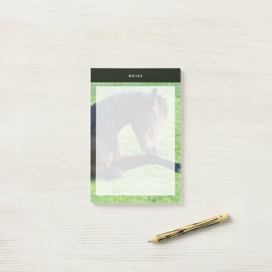  bruin paard lekt in gras post-it® notes (Op bureau)