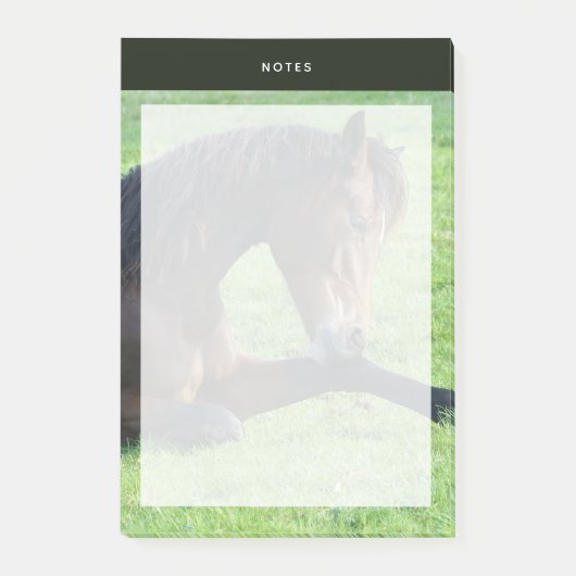 bruin paard lekt in gras post-it® notes (Voorkant)