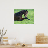 bruin paard lekt in gras poster (Keuken)
