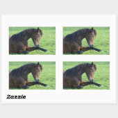  bruin paard lekt in gras rechthoekige sticker (Vel)