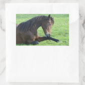  bruin paard lekt in gras rechthoekige sticker (Tas)