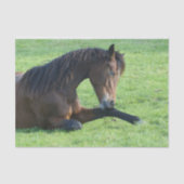 bruin paard lekt in gras tissuepapier (Voorkant)