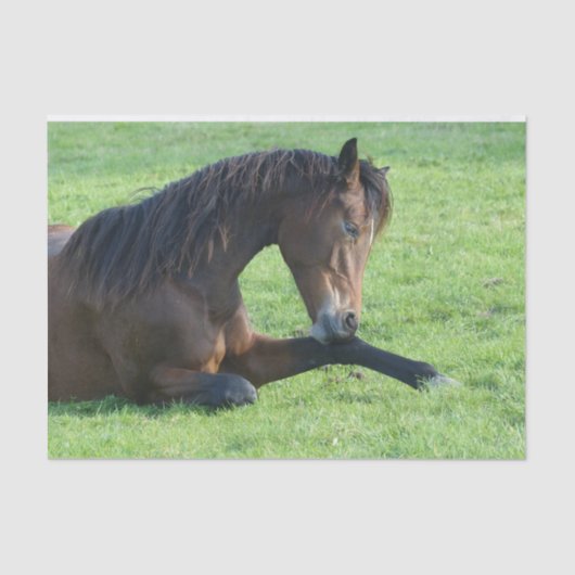  bruin paard lekt in gras tissuepapier (Voorkant)