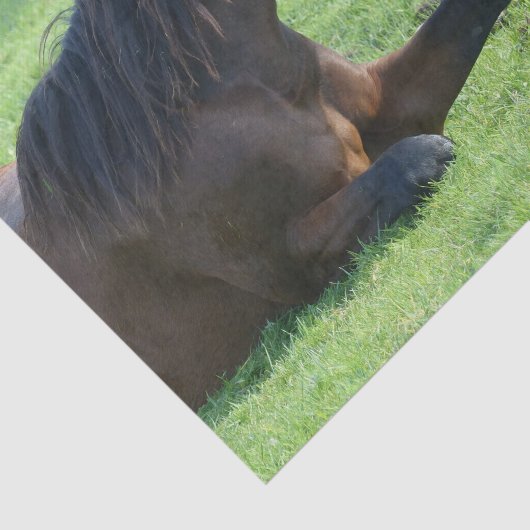 bruin paard lekt in gras tissuepapier (Detail)