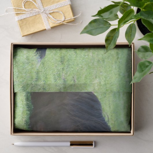 bruin paard lekt in gras tissuepapier (Geschenk)