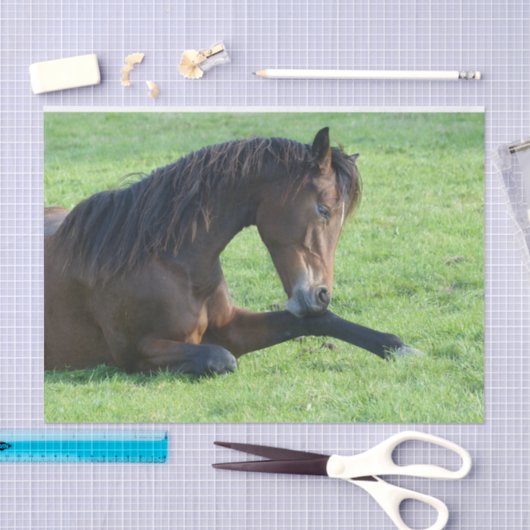 bruin paard lekt in gras tissuepapier (Craft)