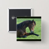 bruin paard lekt in gras vierkante button 5,1 cm (Voorkant /achterkant)