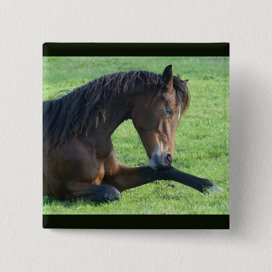 bruin paard lekt in gras vierkante button 5,1 cm (Voorkant)