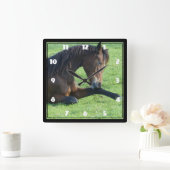  bruin paard lekt in gras vierkante klok (Huis)