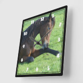  bruin paard lekt in gras vierkante klok (Hoek)