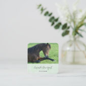 bruin paard lekt in gras vierkante visitekaartje (Staand voorkant)