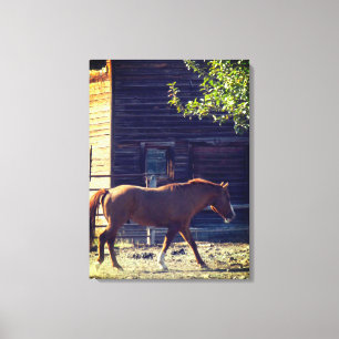 Bruin paard loopt canvas afdruk