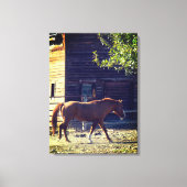 Bruin paard loopt canvas afdruk (Voorkant)