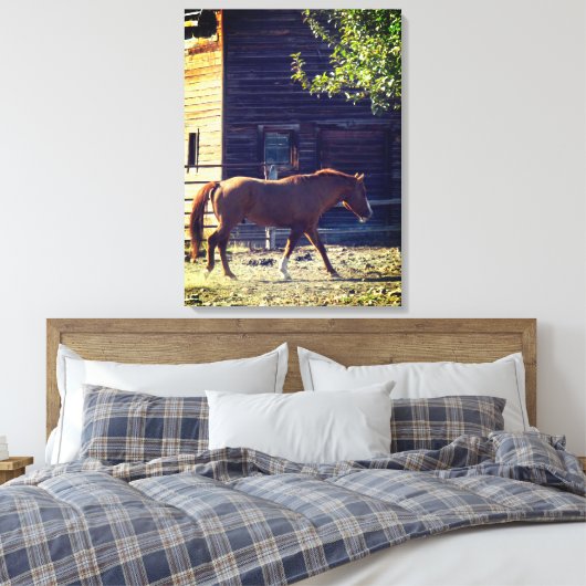 Bruin paard loopt canvas afdruk (Insitu (Slaapkamer))