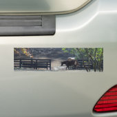 Bruin paard loopt door het hek bumpersticker (Op auto)