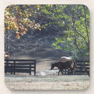 Bruin paard loopt door het hek drankjes onderzetter
