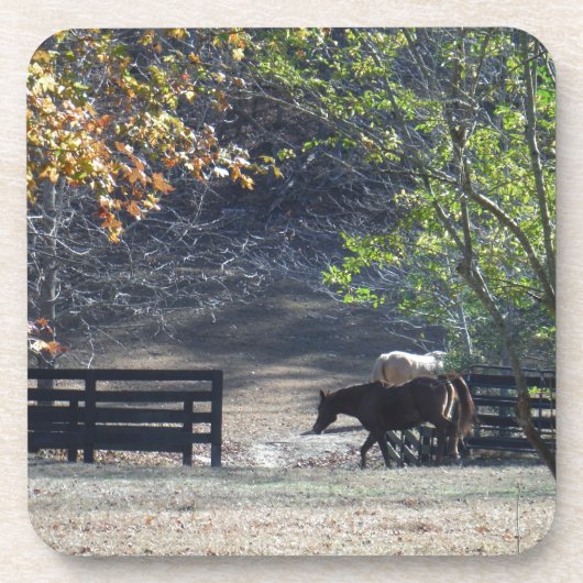 Bruin paard loopt door het hek drankjes onderzetter (Voorkant)